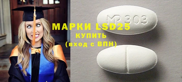 стаф Вяземский