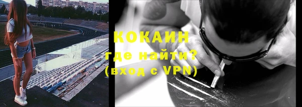 стафф Вязьма