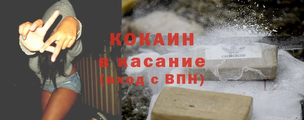 стаф Вяземский