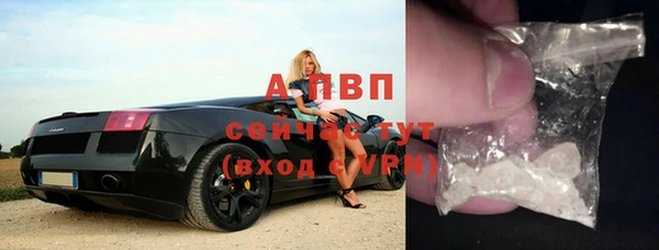 стафф Вязьма
