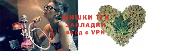 стаф Вяземский