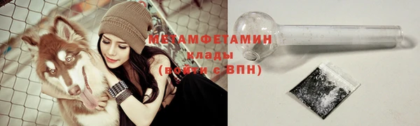 стафф Вязьма