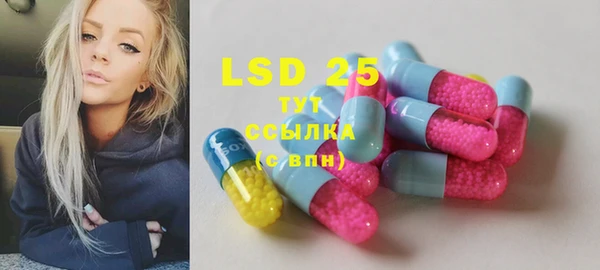 стафф Вязьма