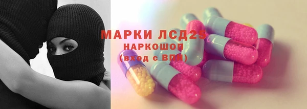 стаф Вяземский