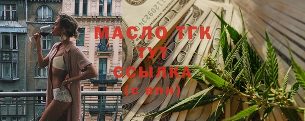 стаф Вяземский
