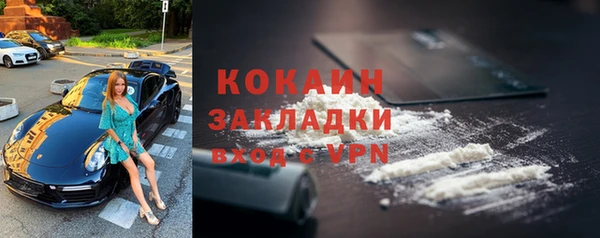 стаф Вяземский