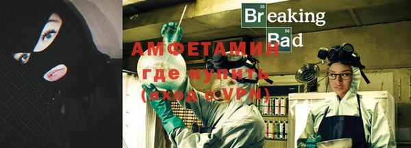 стафф Вязьма