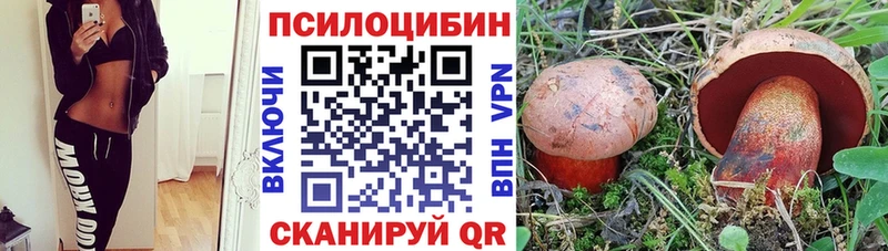 Купить  Пыталово  Галлюциногенные грибы GOLDEN TEACHER 
